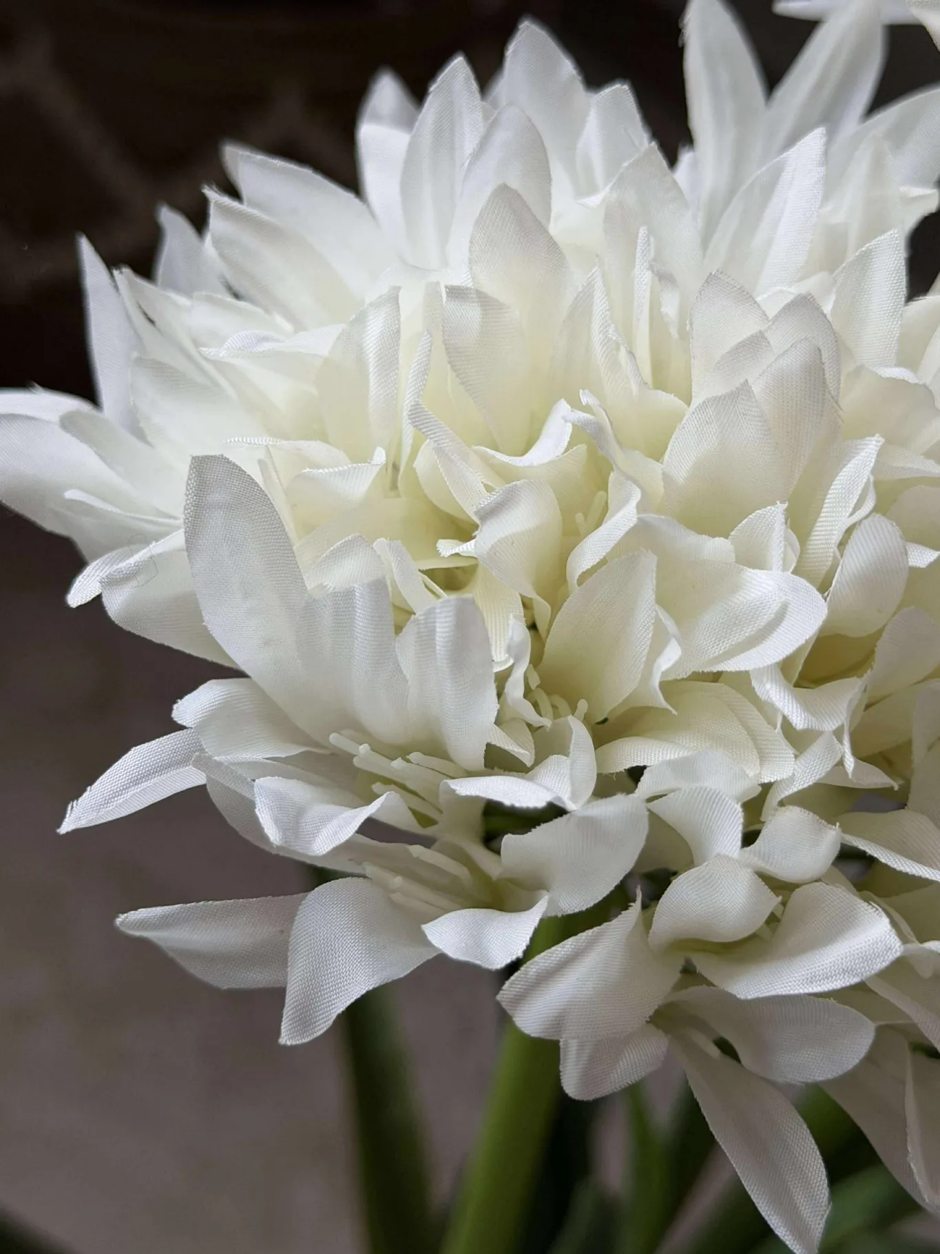 VIAMAJA Blomster<Skærmlilje 80cm - flere farver