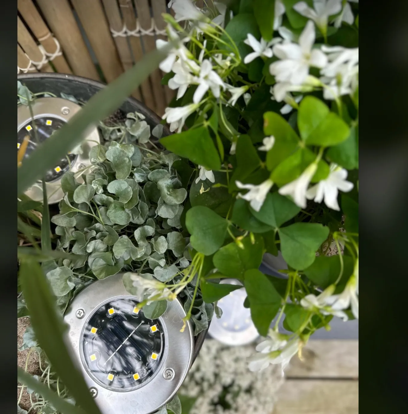 VIAMAJA Lys Og Led|Udendørs Led<Solcelle spots SILVER – Sæt med 4 stk