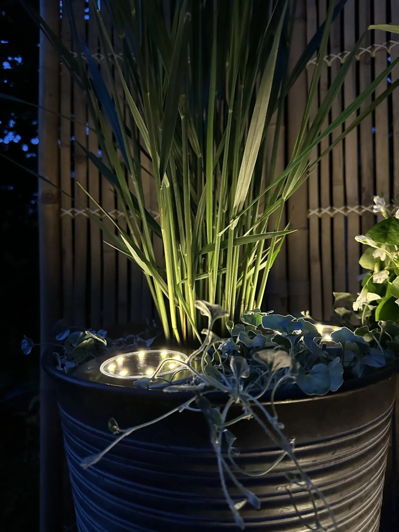 VIAMAJA Lys Og Led|Udendørs Led<Solcelle spots SILVER – Sæt med 4 stk