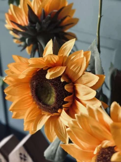 VIAMAJA Blomster<Solsikke