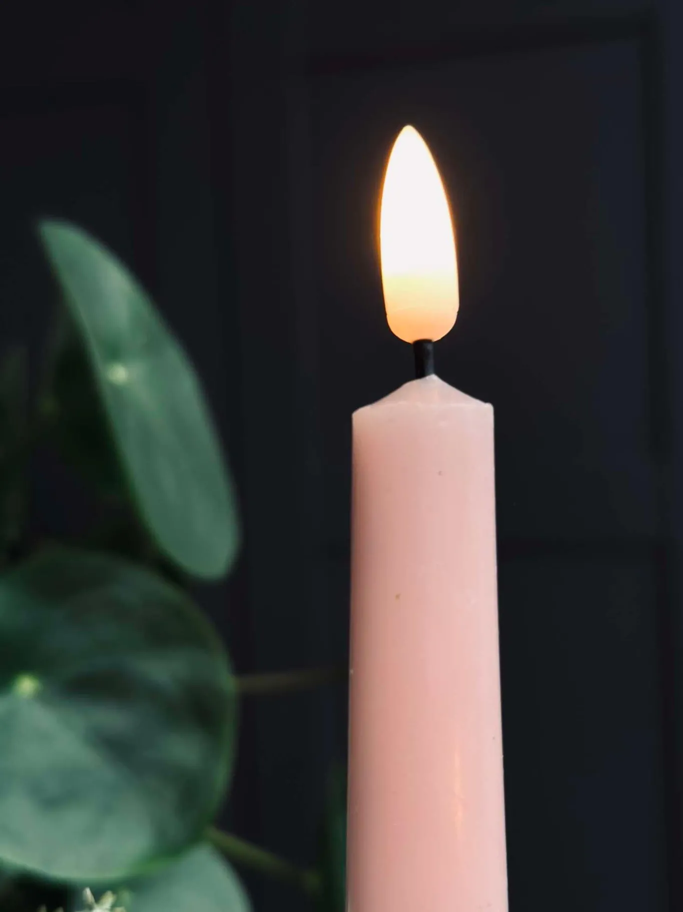 VIAMAJA Lys Og Led|Led Keglelys<Stagelys / Sæt med 2 stk og fjernbetjening – Rosa 24 cm