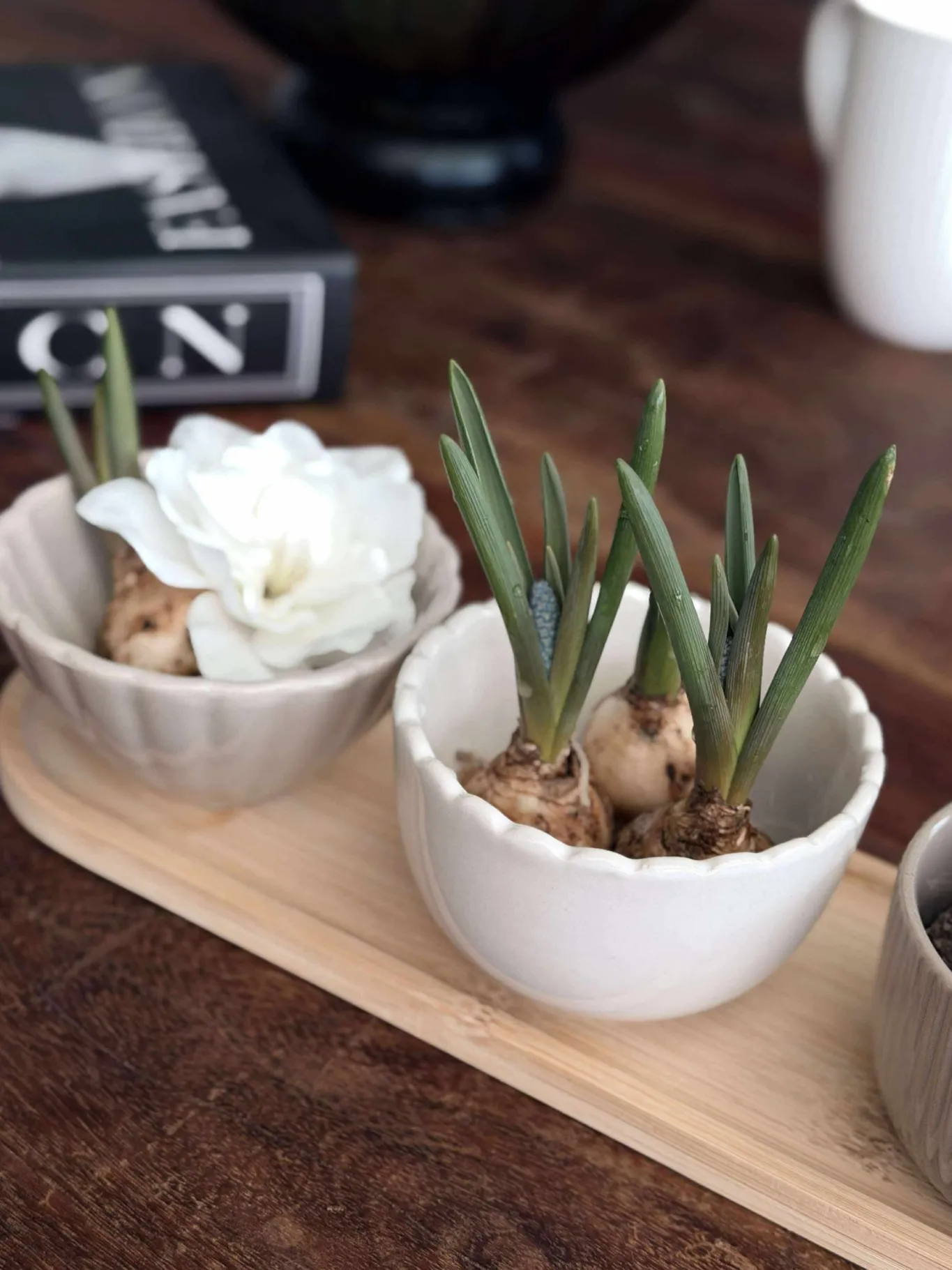 VIAMAJA Fad / Bakker|Skåle Og Tallerkener<Tapas - 3 skåle og fad