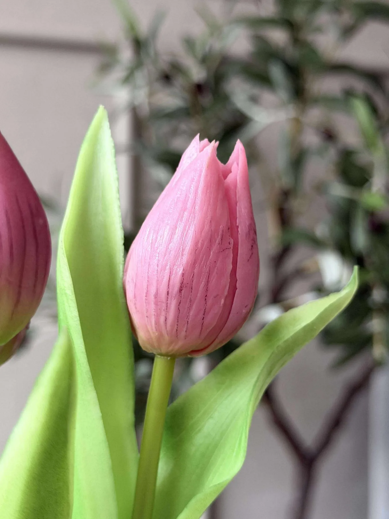 VIAMAJA Blomster|Interiør<Tulipan i potte - Mørk Rosa