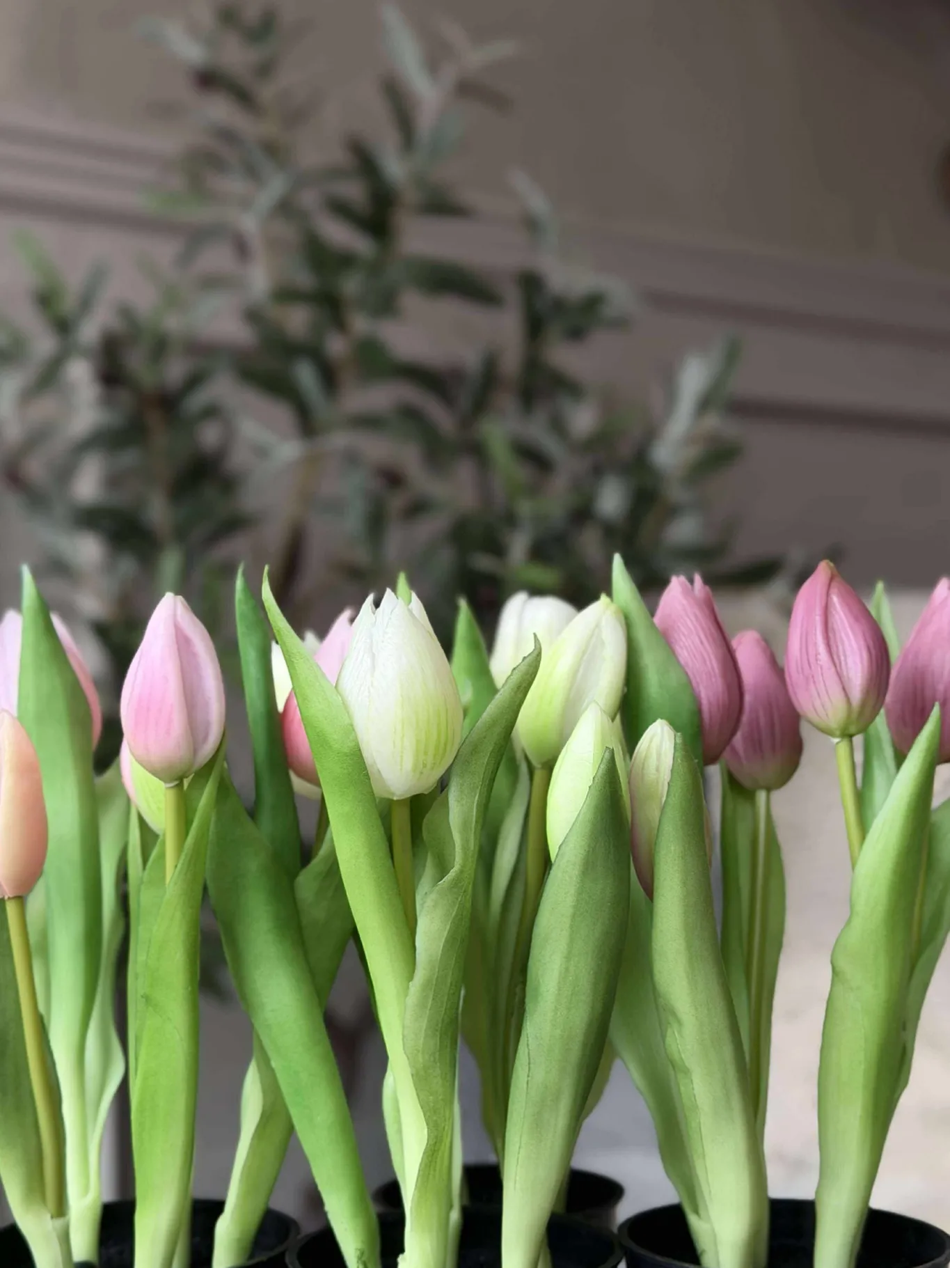 VIAMAJA Blomster|Interiør<Tulipan i potte - Mørk Rosa