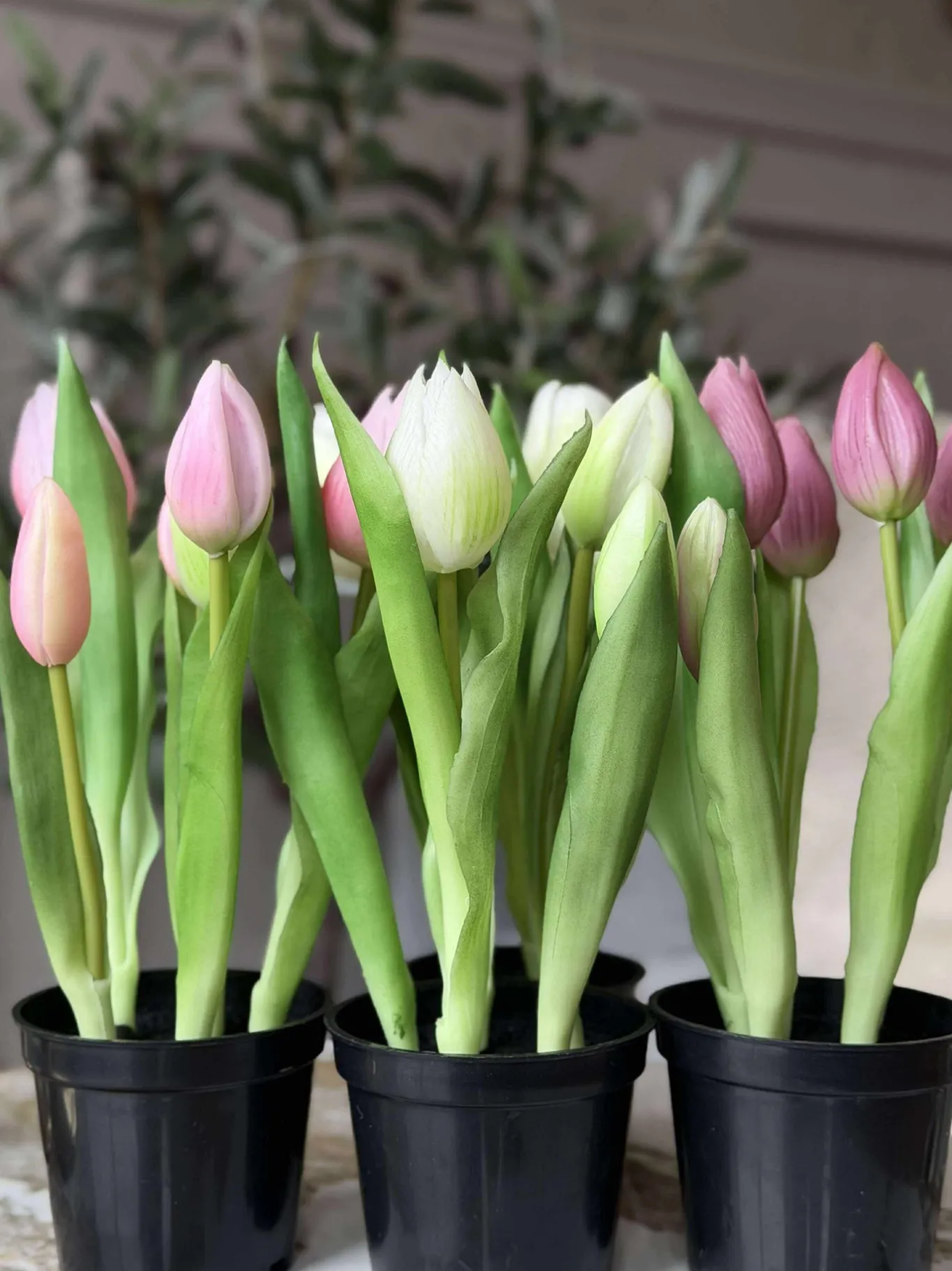 VIAMAJA Blomster|Interiør<Tulipan i potte - Mørk Rosa