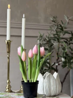 VIAMAJA Blomster|Interiør<Tulipan i potte - Rosa