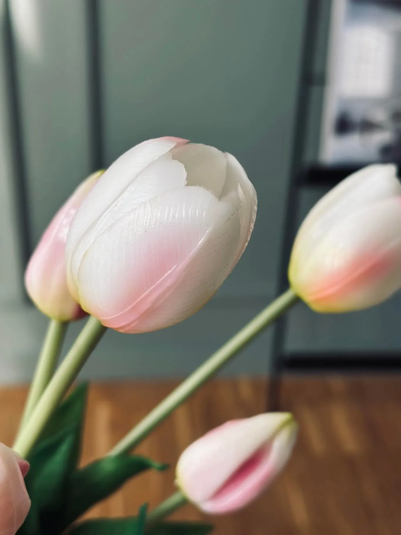 VIAMAJA Blomster|Påske<Tulipaner – Flere farver