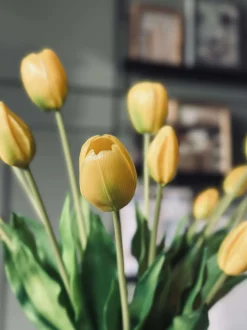 VIAMAJA Blomster|Påske<Tulipaner – Flere farver
