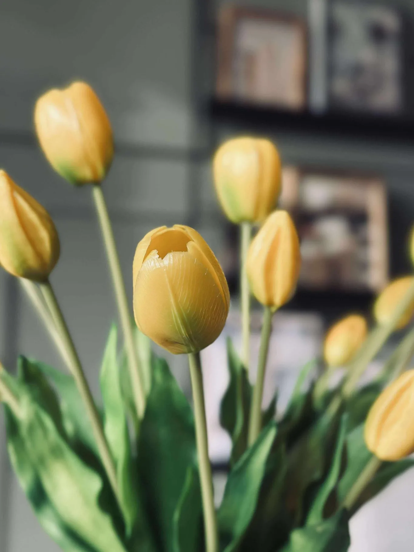 VIAMAJA Blomster|Påske<Tulipaner – Flere farver