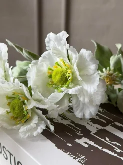 VIAMAJA Blomster<Valmue stilk 62 cm - Hvid