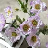 VIAMAJA Blomster<Valmue stilk 62 cm - Lilla